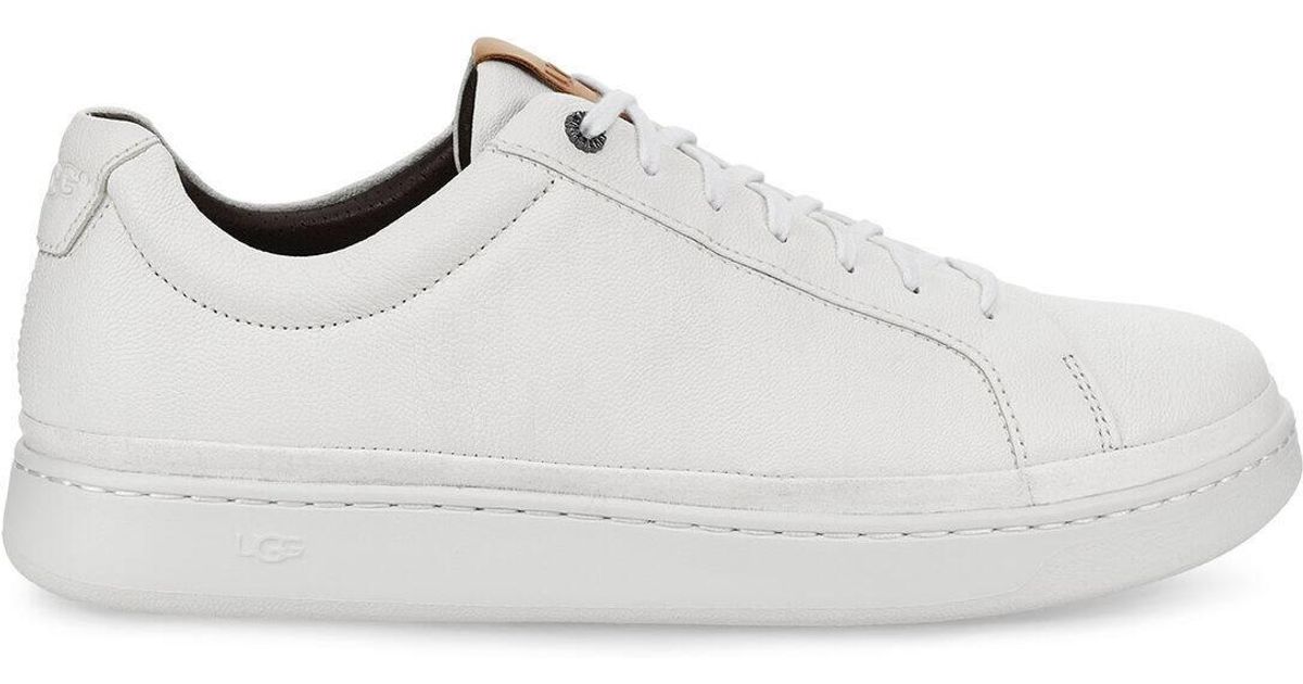 ugg cali low trainer