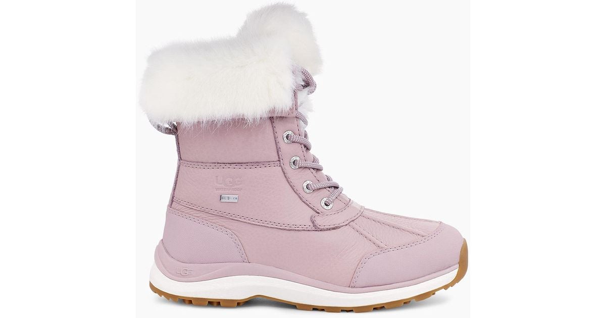 pink low top uggs