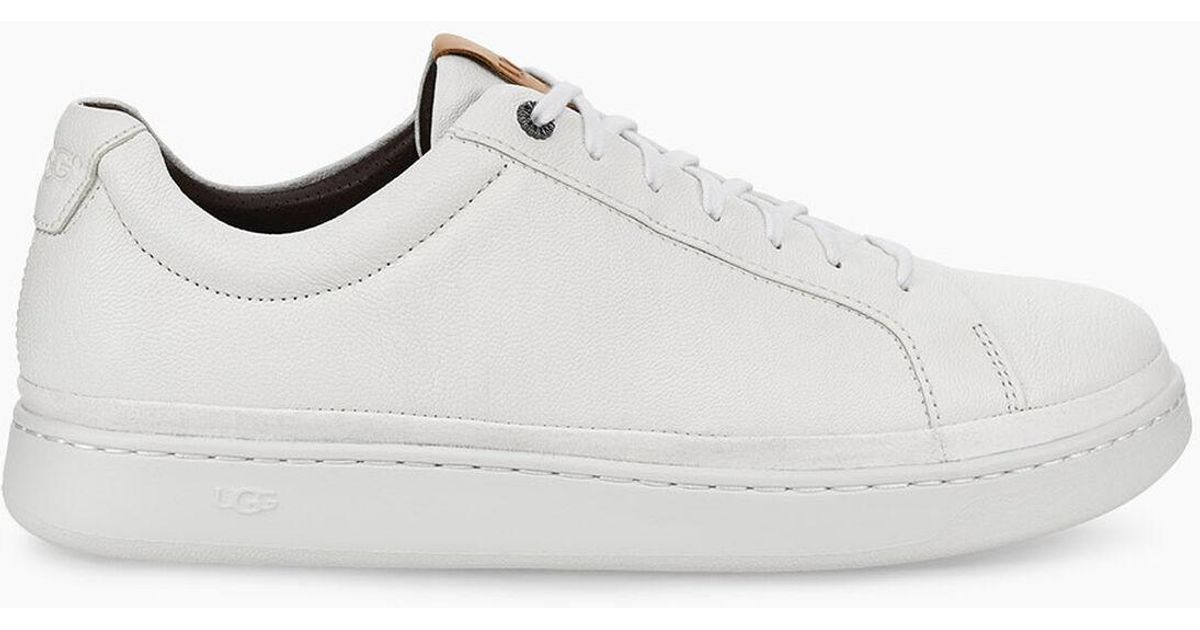 ugg cali low sneaker