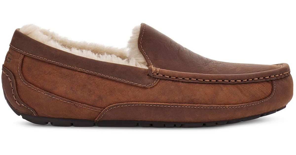 cognac uggs