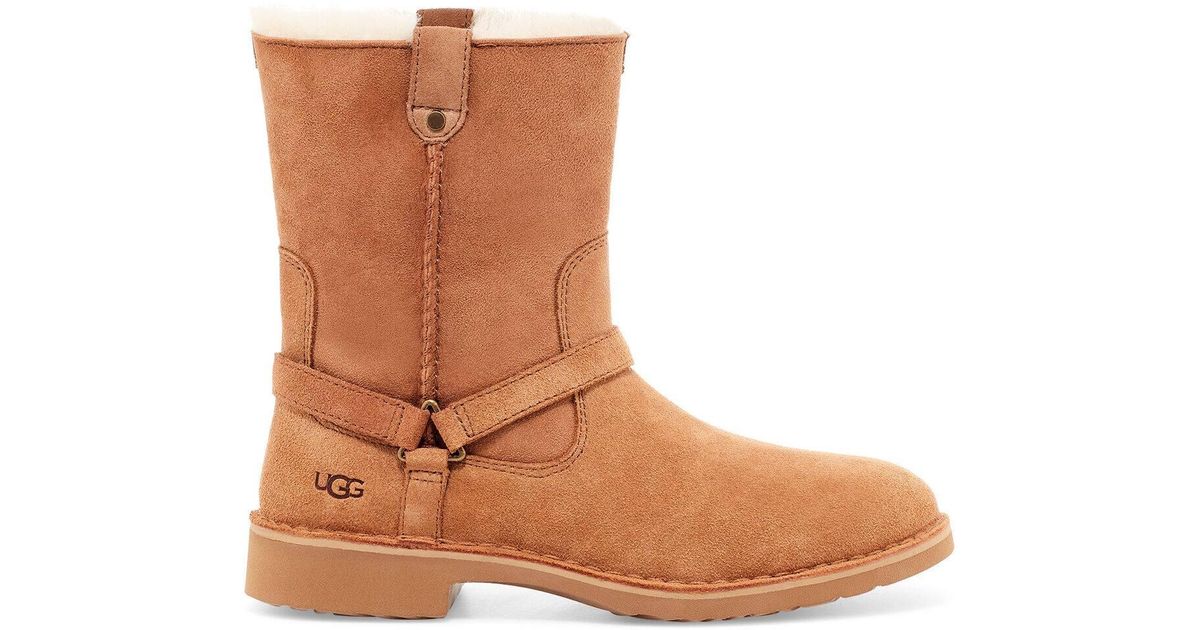 ugg cedric chestnut