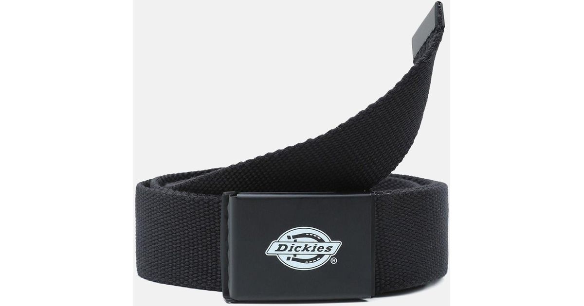 Dickies Orcutt Belt Black for Men |