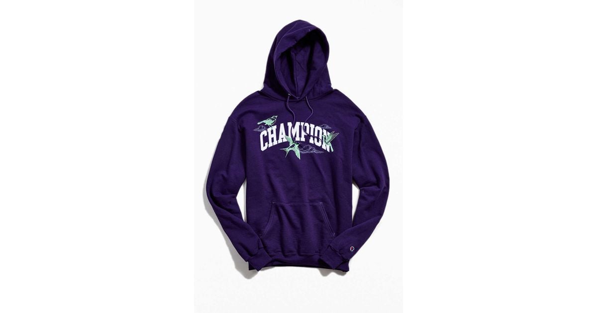 champion hoodie with birds