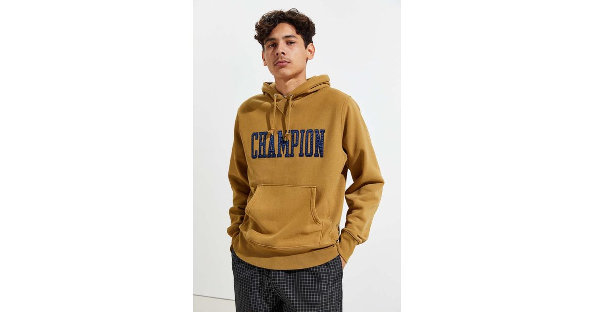 champion vintage wash hoodie sweatshirt
