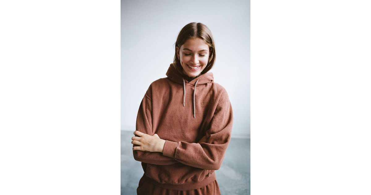 iets frans Cotton Embroidered Hoodie Sweatshirt in Brown - Lyst