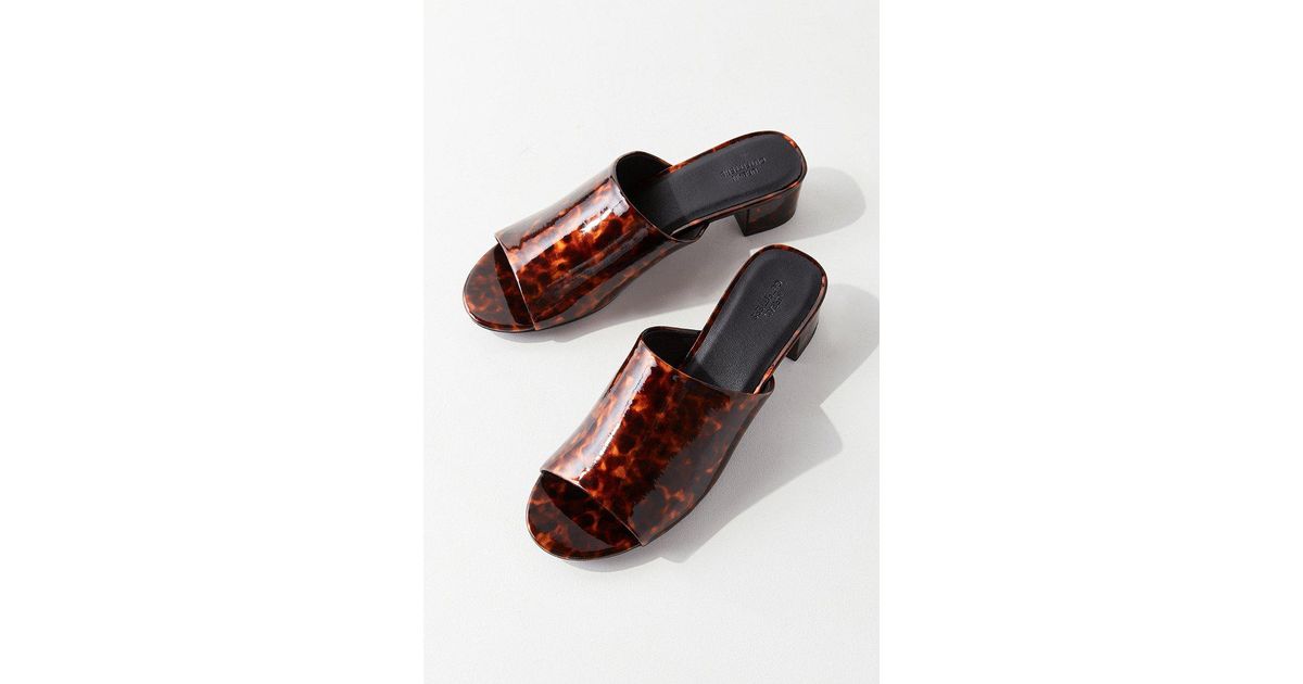 tortoise mules