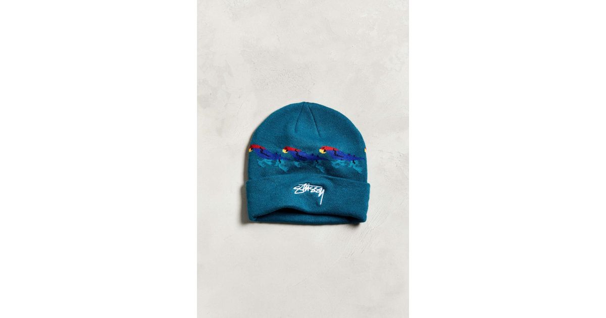stussy parrot beanie