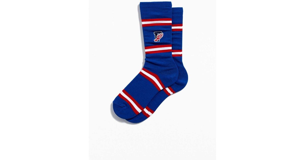 polo p wing socks