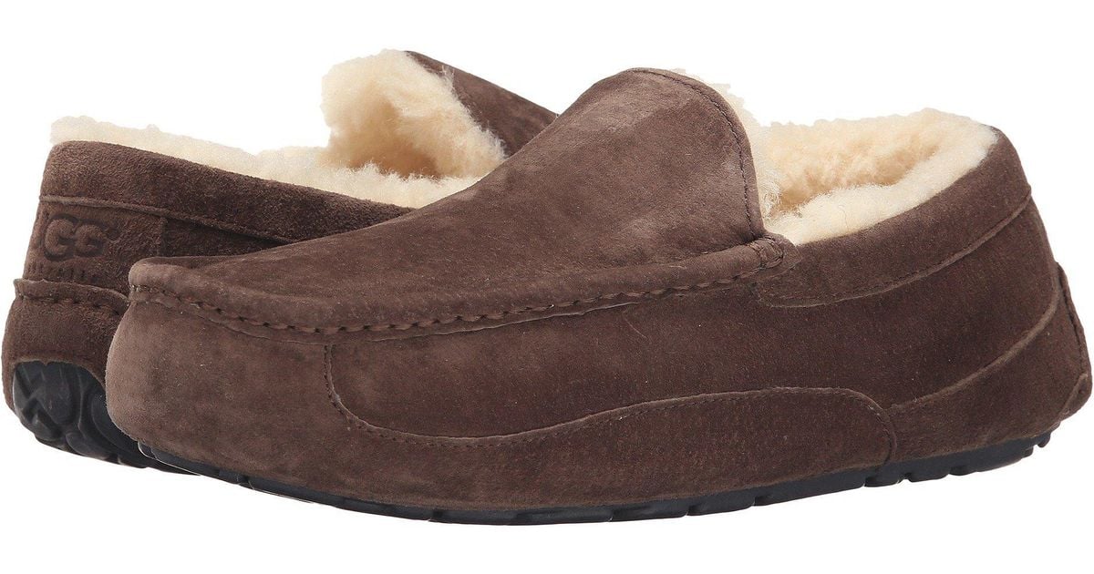 ugg ascot wool