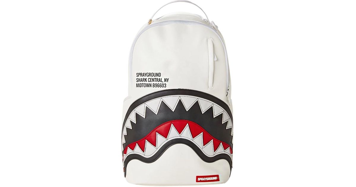 afrojack sprayground