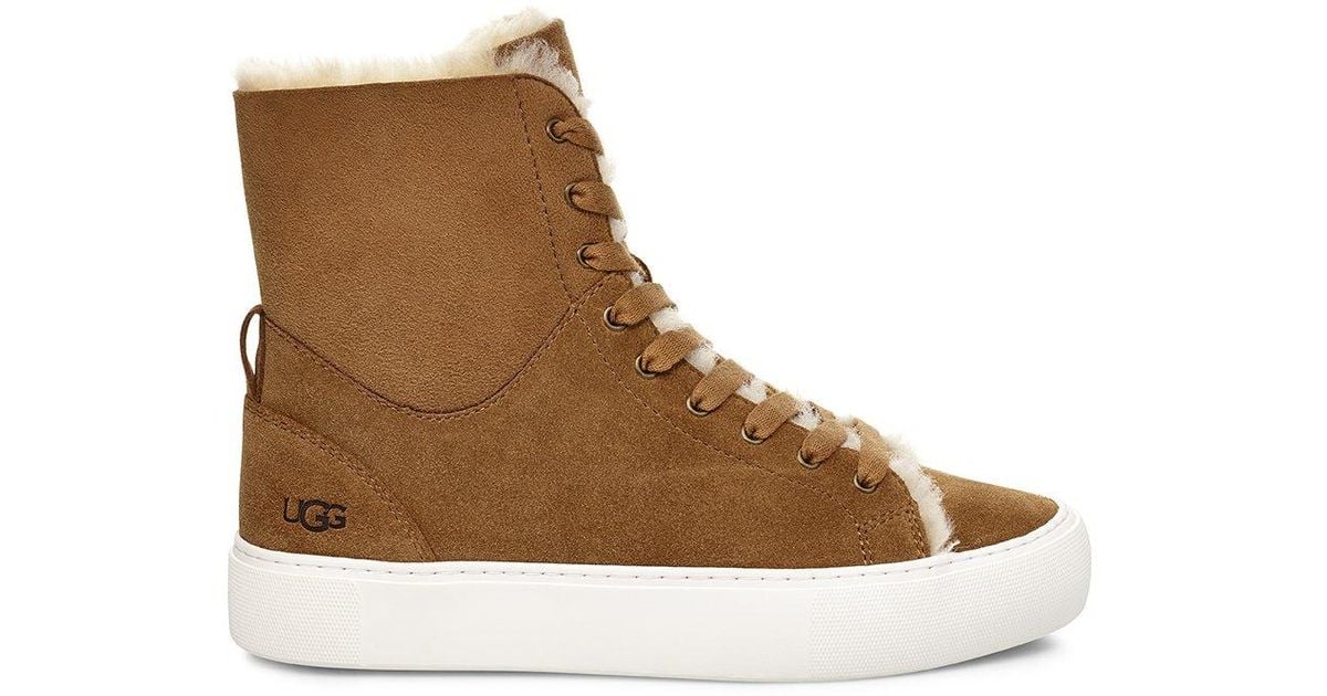 tan ugg sneakers