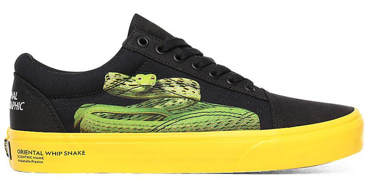 scarpe vans x national geographic old skool