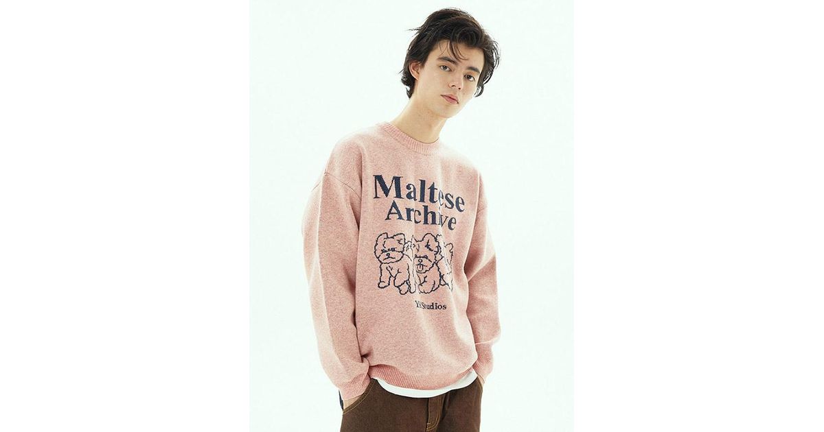 WAIKEI Maltese Archive Line Graphic Knit Pullover [] in Pink for Men ...