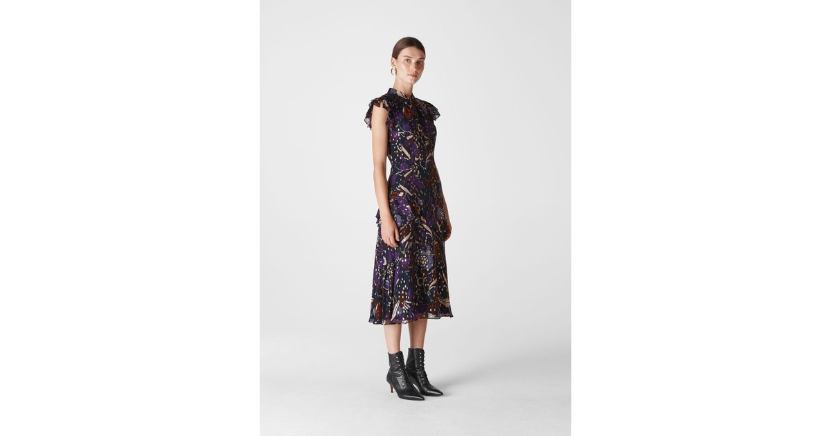 whistles montrose dress
