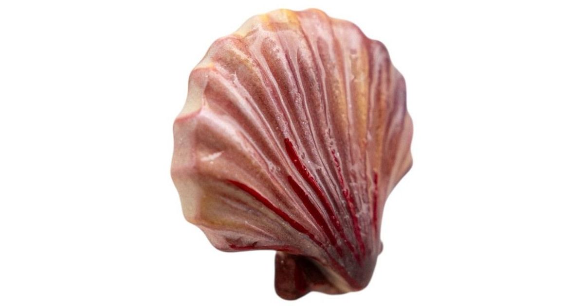 Sunset Magic Studio Coral Shell in Red | Lyst