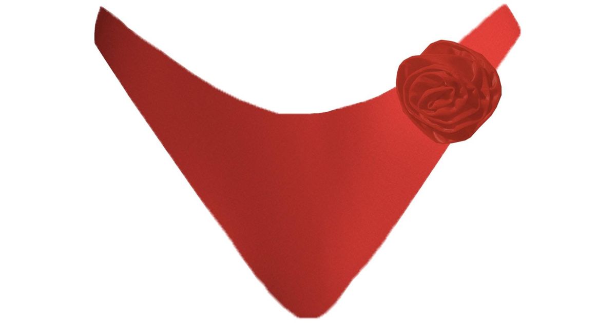 Blackbough Swim Moriah Cheeky Bottoms Hot Gloss in Red | Lyst UK