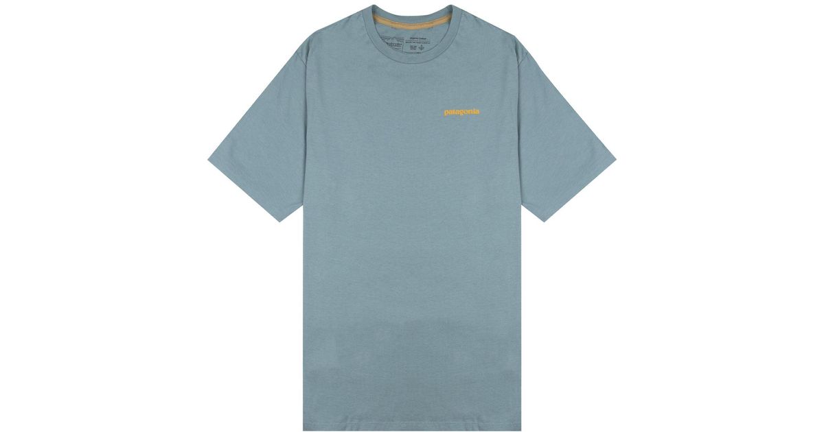 Patagonia Flying Fish Organic T-shirt 