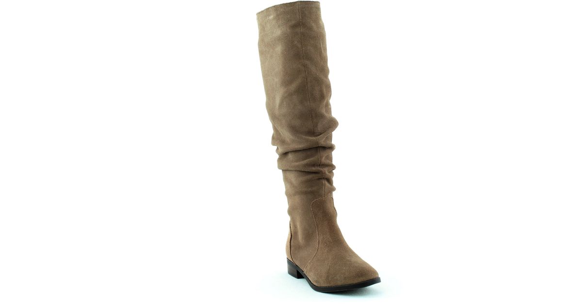 steve madden beacon
