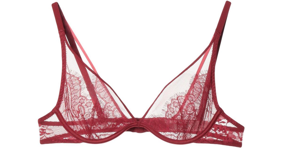 Passionata Lace Bra in Maroon (Red) - Lyst