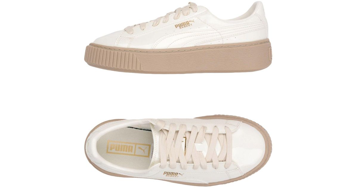 c116 low top sneaker