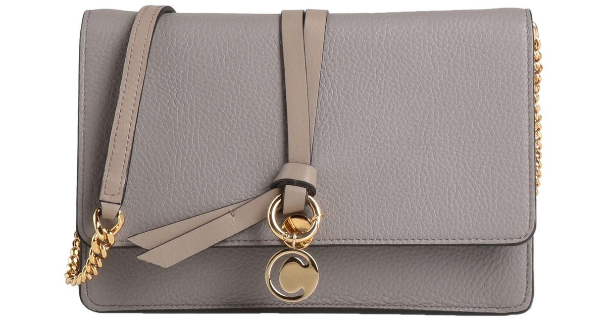 Chloé Crossbody Bag in Gray Lyst