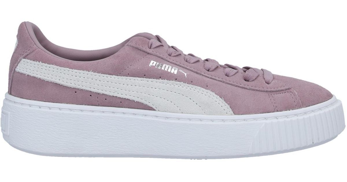 lilac pumas