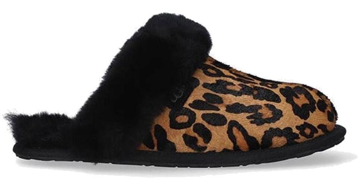 chausson ugg