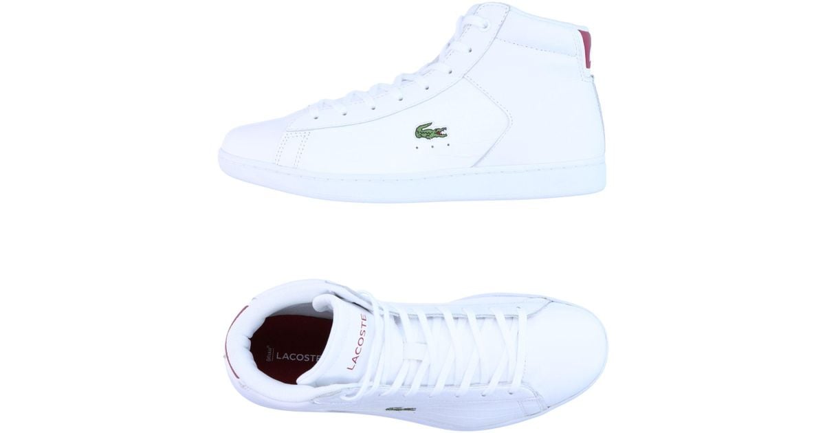 lacoste high tops