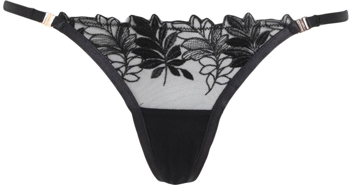 Bluebella Lace Brief in Black Lyst