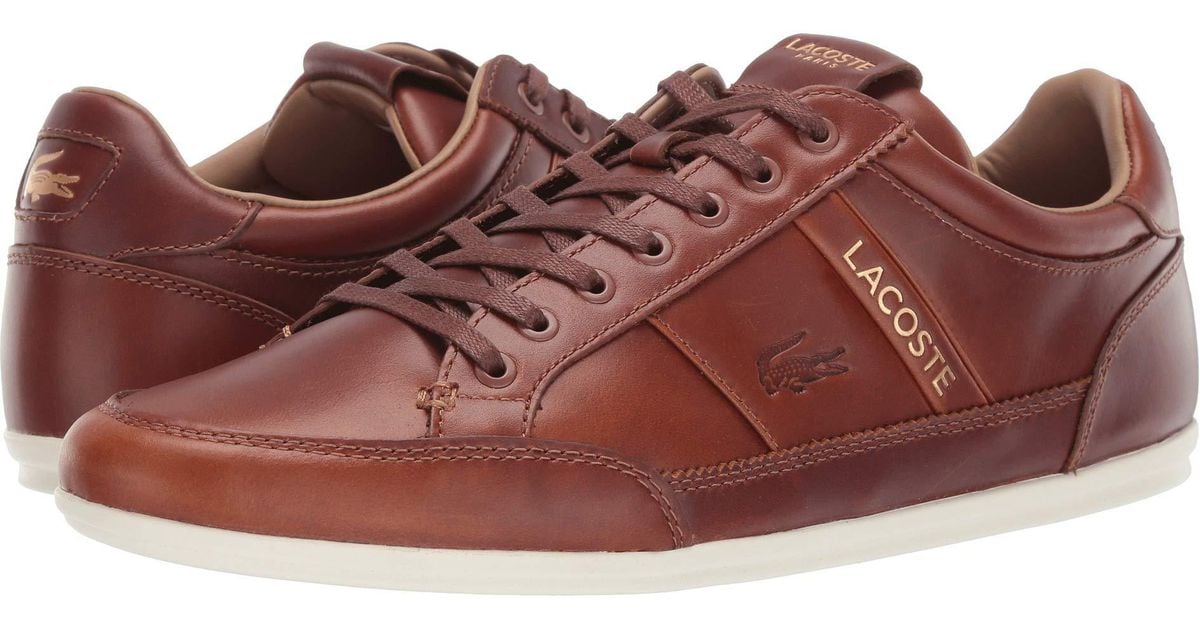 tan lacoste shoes