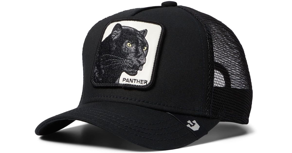 gorras goorin bros panther