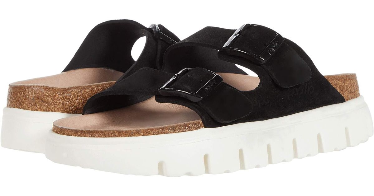 papillio chunky