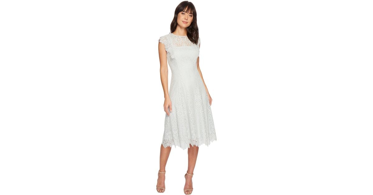 tahari lace dress