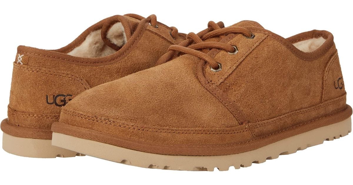 uggs lows