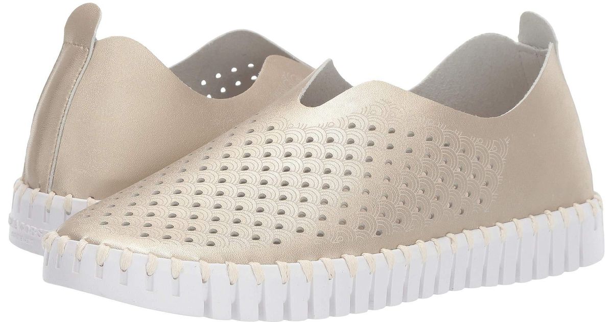 isabel jacobsen shoes