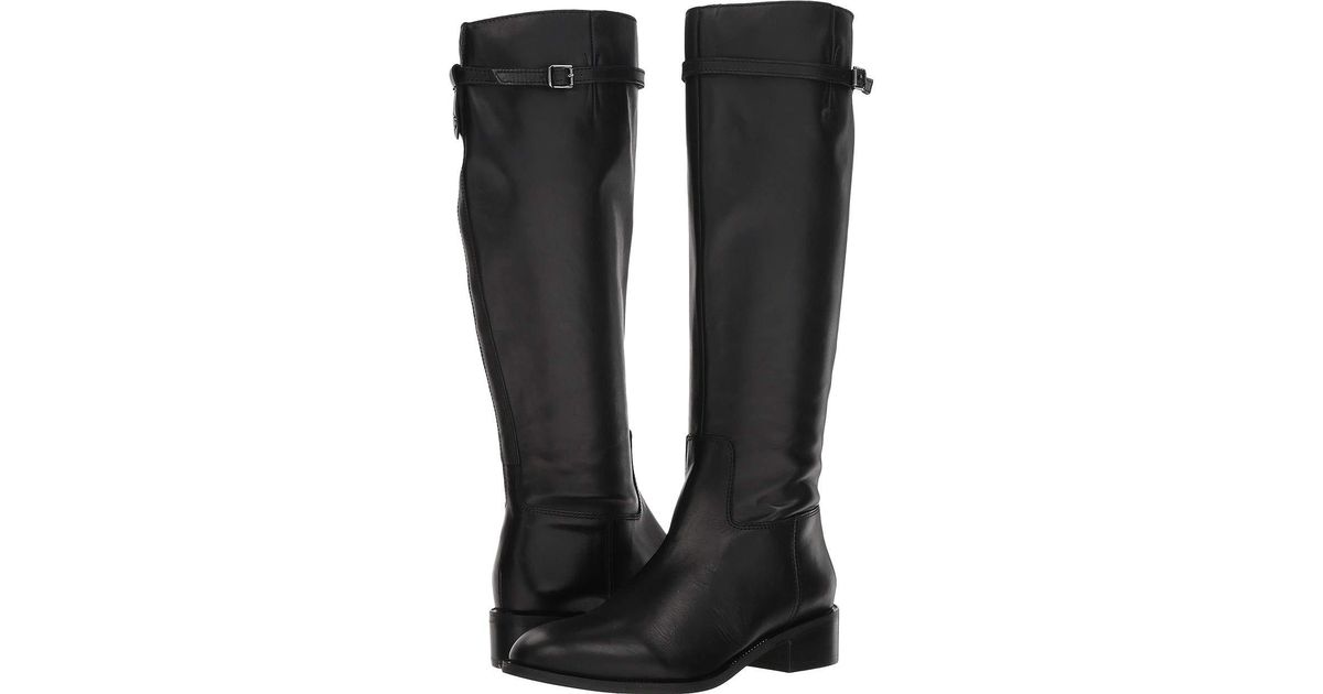 franco sarto belaire