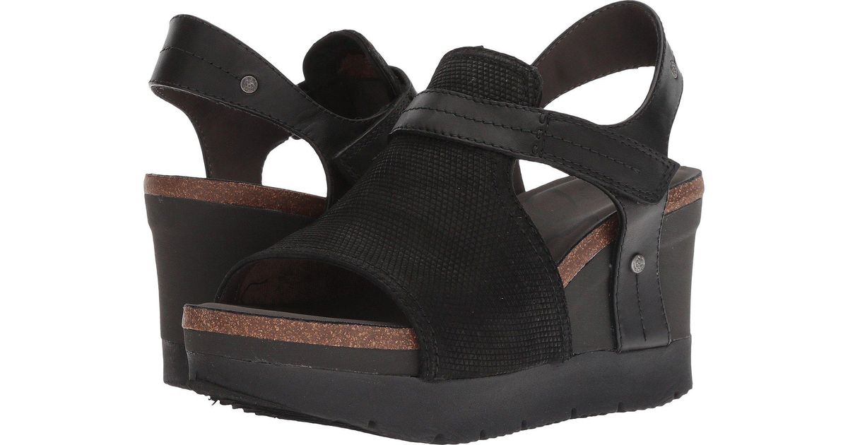 otbt waypoint wedge