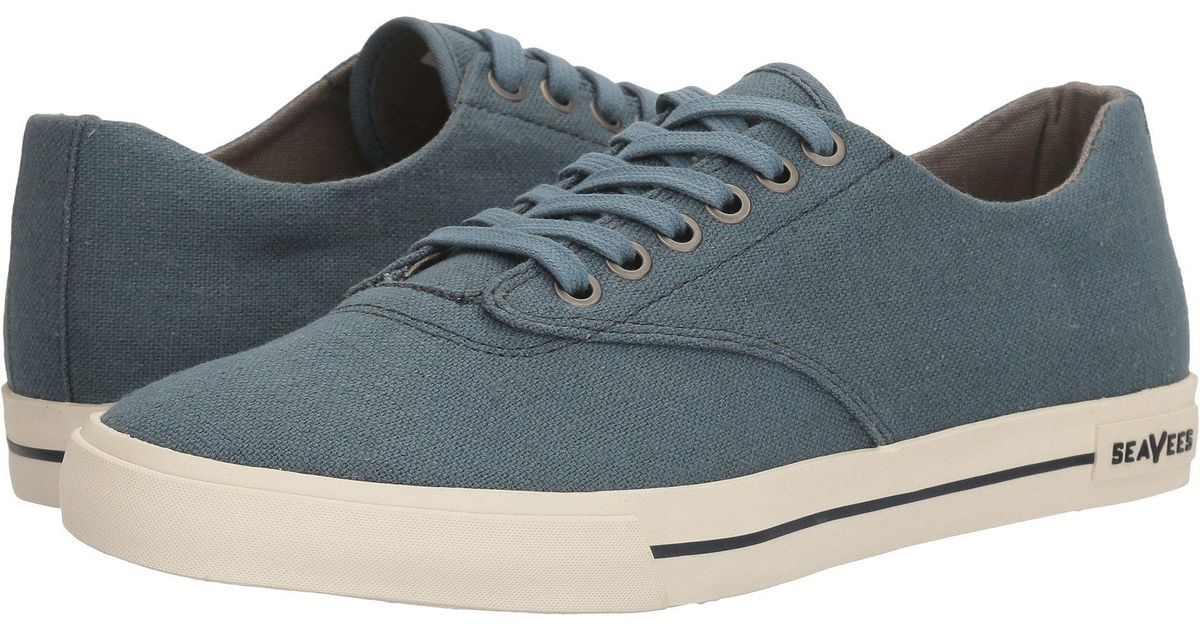 hermosa sneaker standard