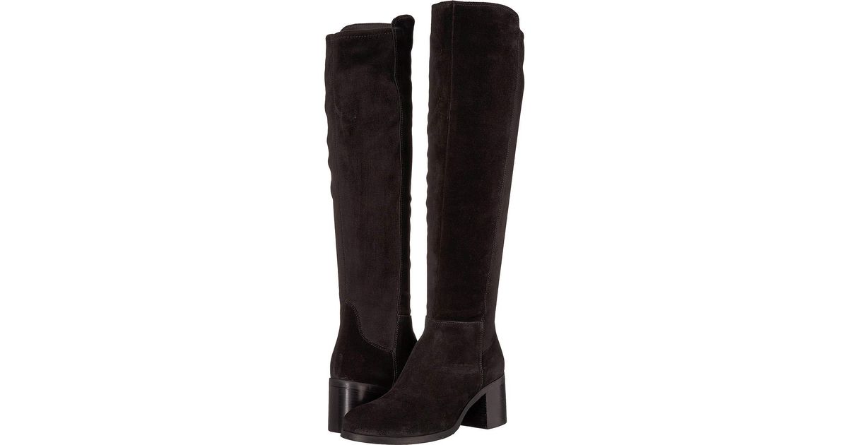cordani boots