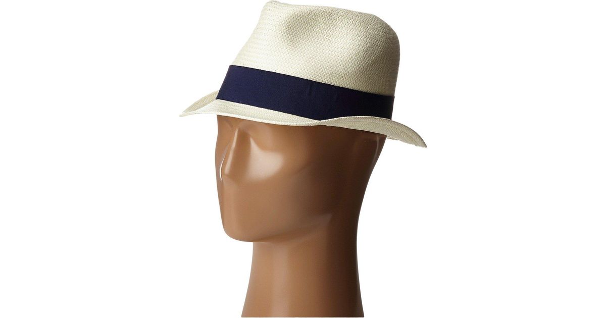short brim panama hat