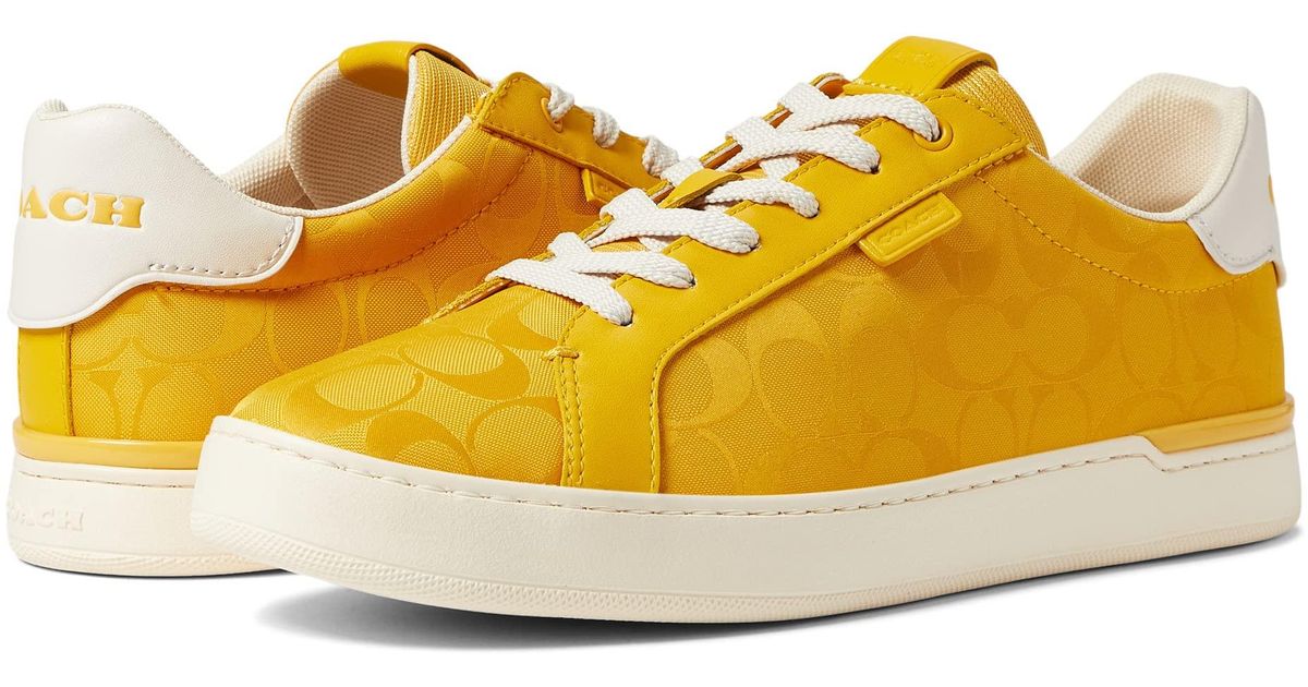 coach lowline low top sneaker