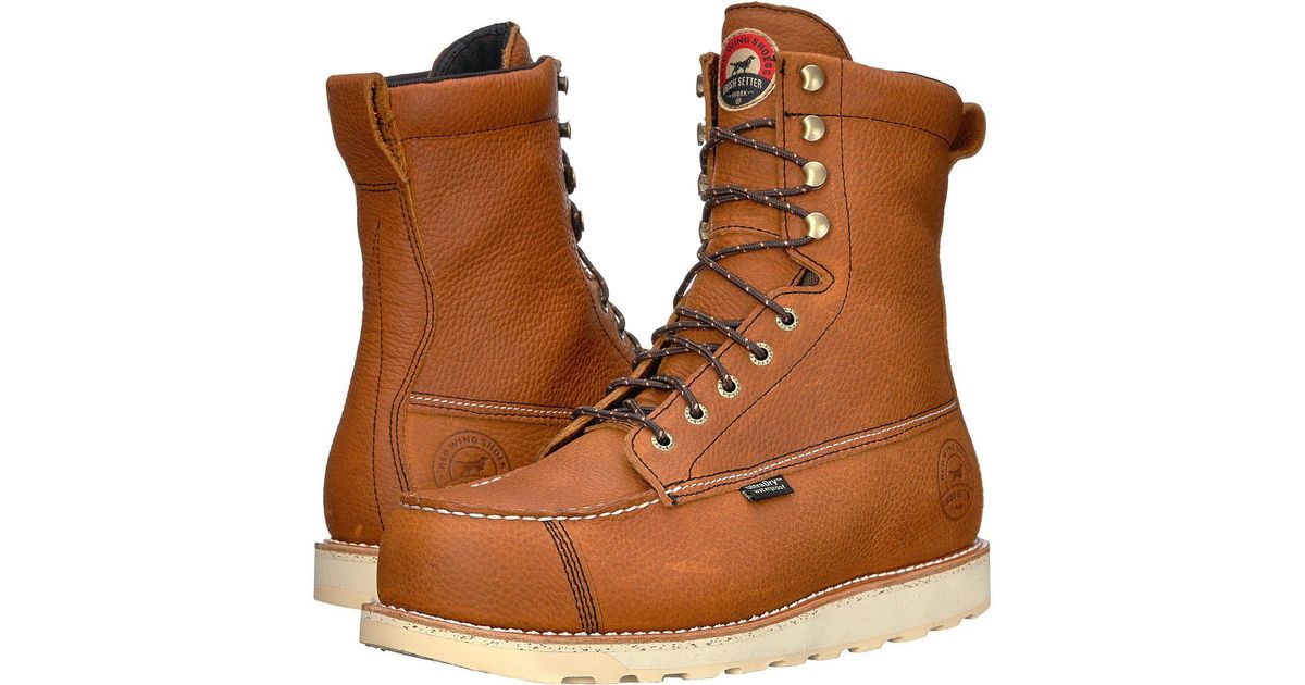 irish setter 83632