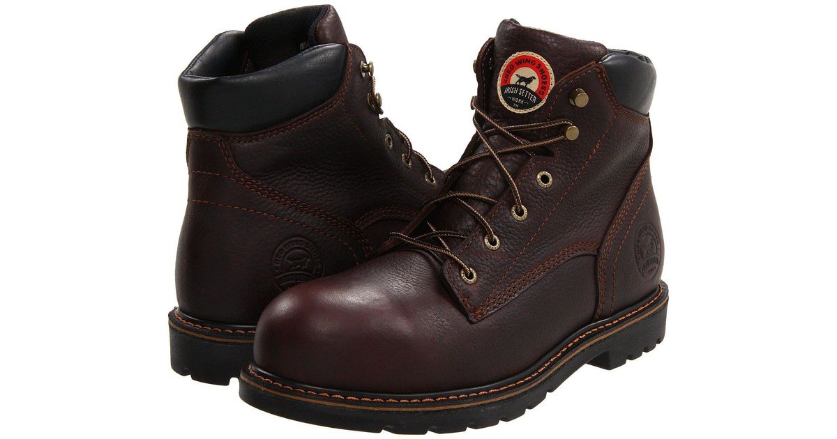 irish setter 83604