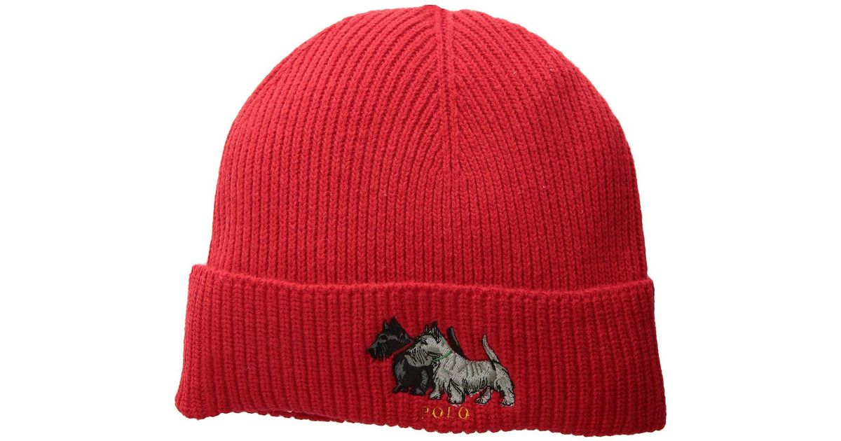 polo dog beanie