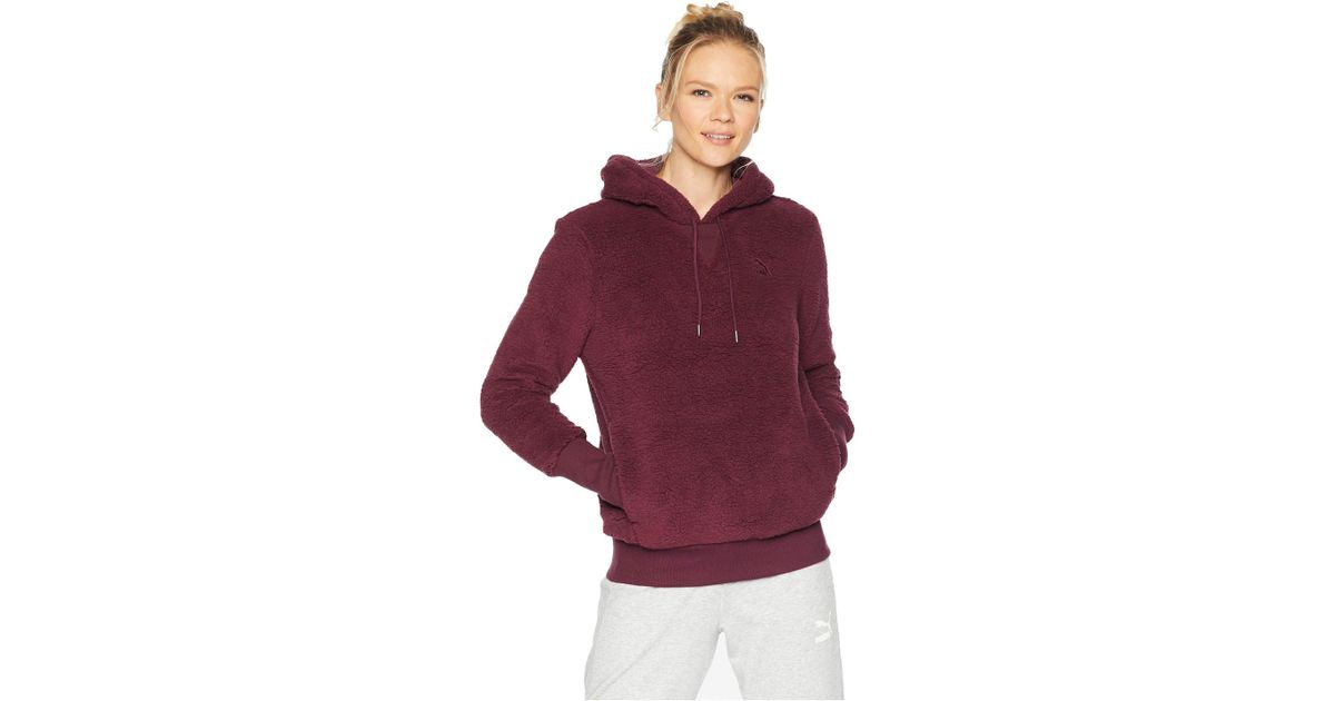 puma peppercorn hoodie