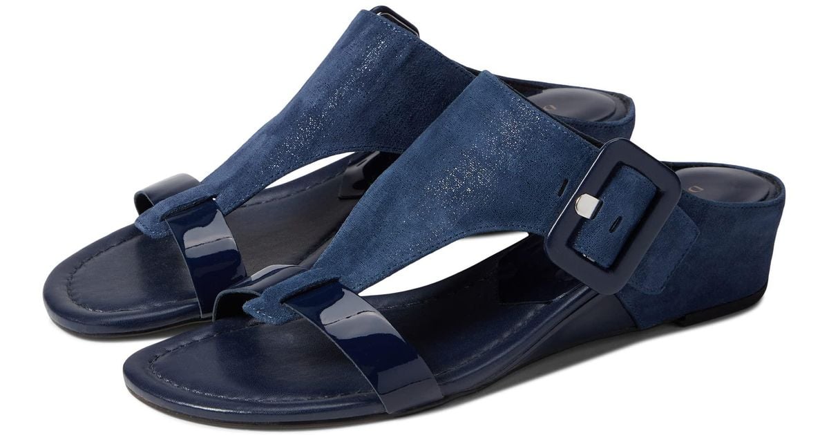 oltina donald pliner