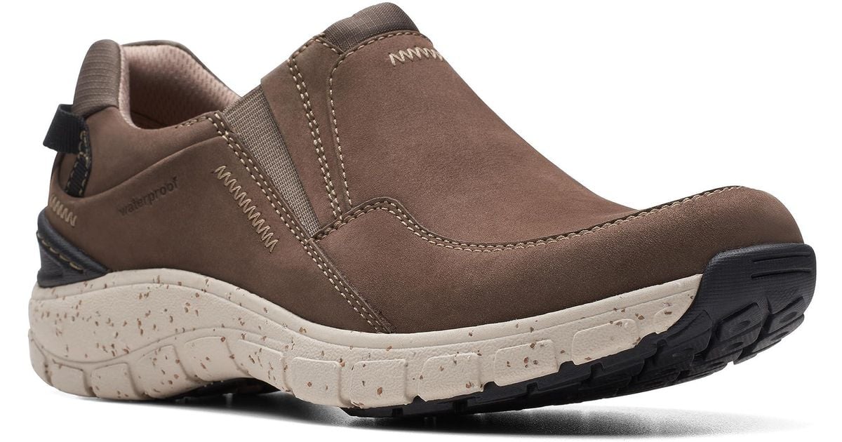 clarks wave andes