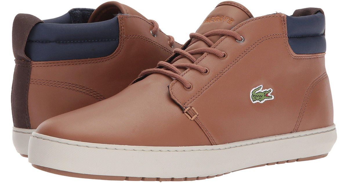 Lacoste Cotton Ampthill Terra 317 1 in 