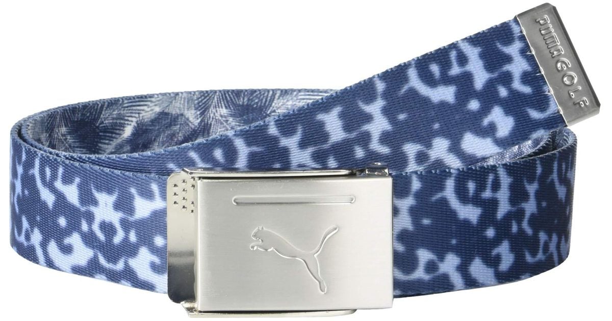puma web belt