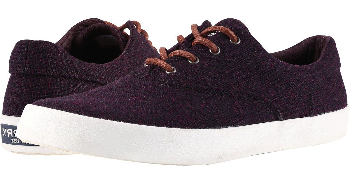 sperry knit shoes